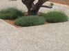 VOTSALOTA.GR - ������, �������, ��������� ������� �� �������